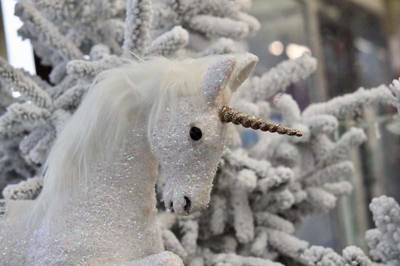 Unicorn Ranch Stay