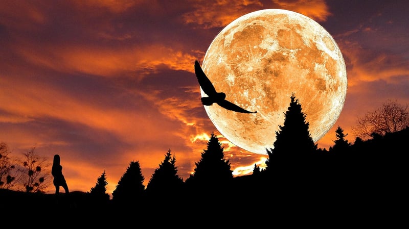 Fairy Tale Night